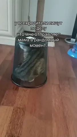 я хочу чтобы это видели все. #кошка #рек #рекомендации #мама #родители #ведро #рекомендации #смешноевидео #fyp #fypage #fypツ 