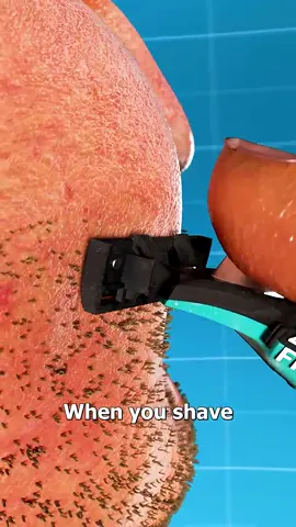 This is what happens when you shave 😱