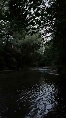 … #real#darkaesthetic#sad#darkvibes#fyp#nature#walk#euphoria#walk#forest#relatable#river#dark#vibes 