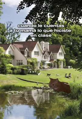 EQUIPO 5, CONTROL DE CALIDAD #memegatos #gatos #agang #boingboing #boingcat #fyp #tarea #controldecalidad 