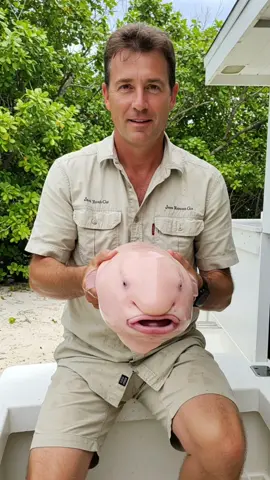 This Fish Has No Bones or Muscles – Just Floats and Eats! 🐡😮 🎵 PLS&TY - Leave The Light On 🎧 #electronicmusic #beach #Blobfish #fish @PLS&TY 