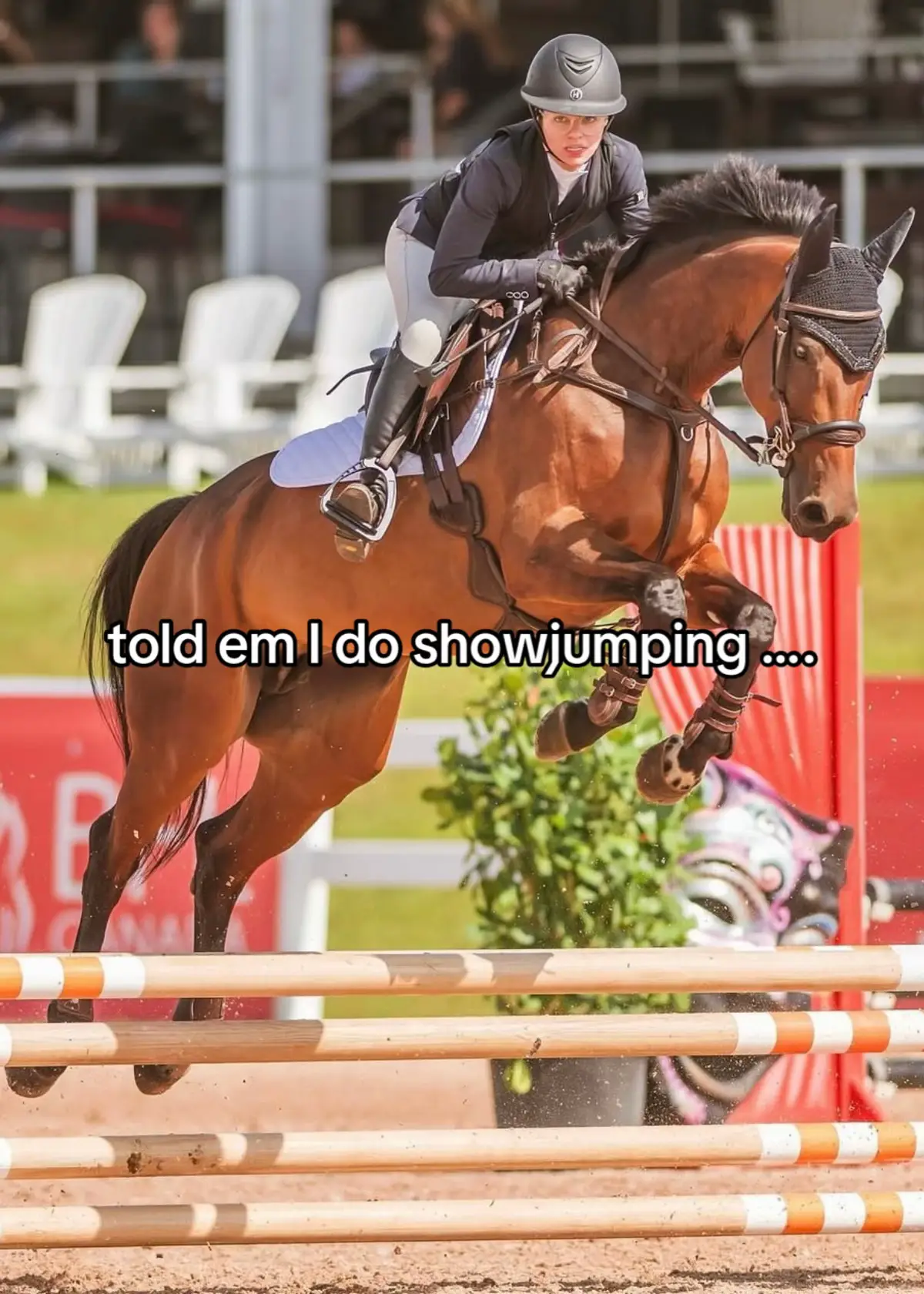 sometimes maybe good, sometimes maybe shit #showjumping #showjumper #kpwn #equestrian #neverlandb #dutchwarmblood 