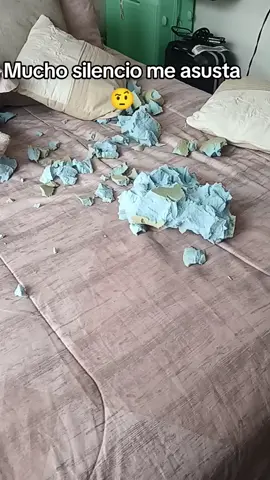 #lolita #amordecuatropatitas #curitaalcorazon 🐶❤️‍🩹