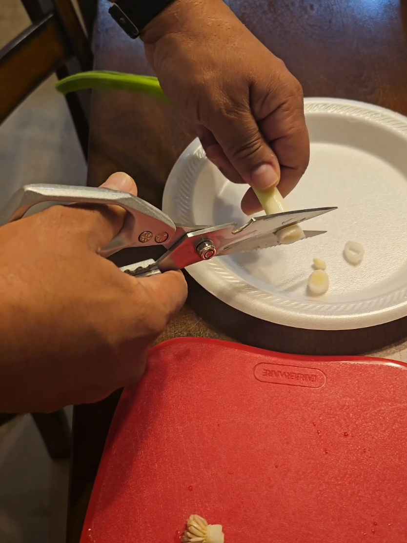 These scissors everyone should have in their kitchen. They are super sharp. I am linking them below. Grab them up. @Huusk Japan #kitchentools #fyp  #viraltiktok #kitchen #KitchenHacks  #tiktokshop #tiktokshopfinds #tiktokshopfindsfyp #tiktoksummerturnup #tiktokmademebuyit #tiktokshopcreatorpicks 