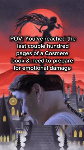 Buckle your bridgeboy boots, it’s about to get wild. #cosmere #stormlightarchive #brandonsanderson #mistborntrilogy #warbreaker #Meme #MemeCut 