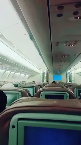 #🌲🌲🌲🌲🌲🌹🌹🌹🌹 #