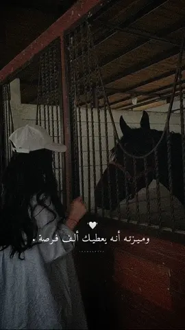 فرصتة الأخيرة تكون مفاجاة.👌🏻🤍✨#راشديةمطنوخة #capcut #خيل_وخياله🐎 #fyp #foryou #viral #viralvideo 