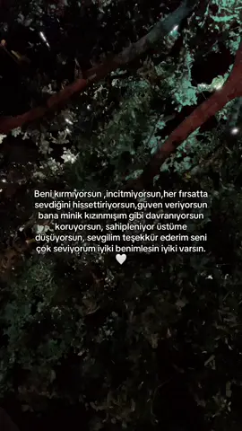 #keşfetteyiz #birtanem #keşfetteyizzzzzzz #fyppppppppppppppppppppppp #fypシ゚ #fypageシ #keşfetteyizzzzzzz #keşfettttttttttttttt #birtanem 