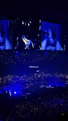 The crowd ❤️‍🩹                                              #wildflower #billieeilish #hmhas #hitmehardandsofttour #hmhastour  #bologna #foryou #fyp 