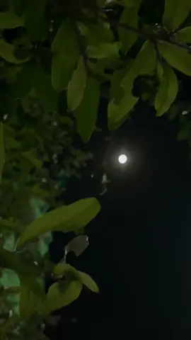 ‏قمر الليلة يشبه ضحكتك، في ضيّه ونوره. #قمر_الليلة🌜  #اكسبلورexplore  #pov  #تصويري📸 