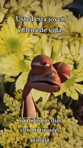 #Meme #MemeCut #CapCut #humor #🤣🤣🤣 #jajajja #tiroides #cansancio 