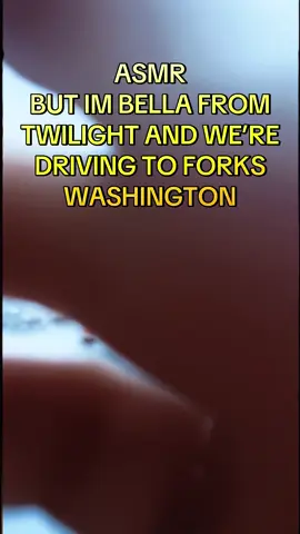 You nicknamed my daughter after the Loch Ness monster? #asmr #asmrsounds #rainasmr #lowquality #lowqualityasmr #twilightasmr #drivingasmr #carasmr #tingles 