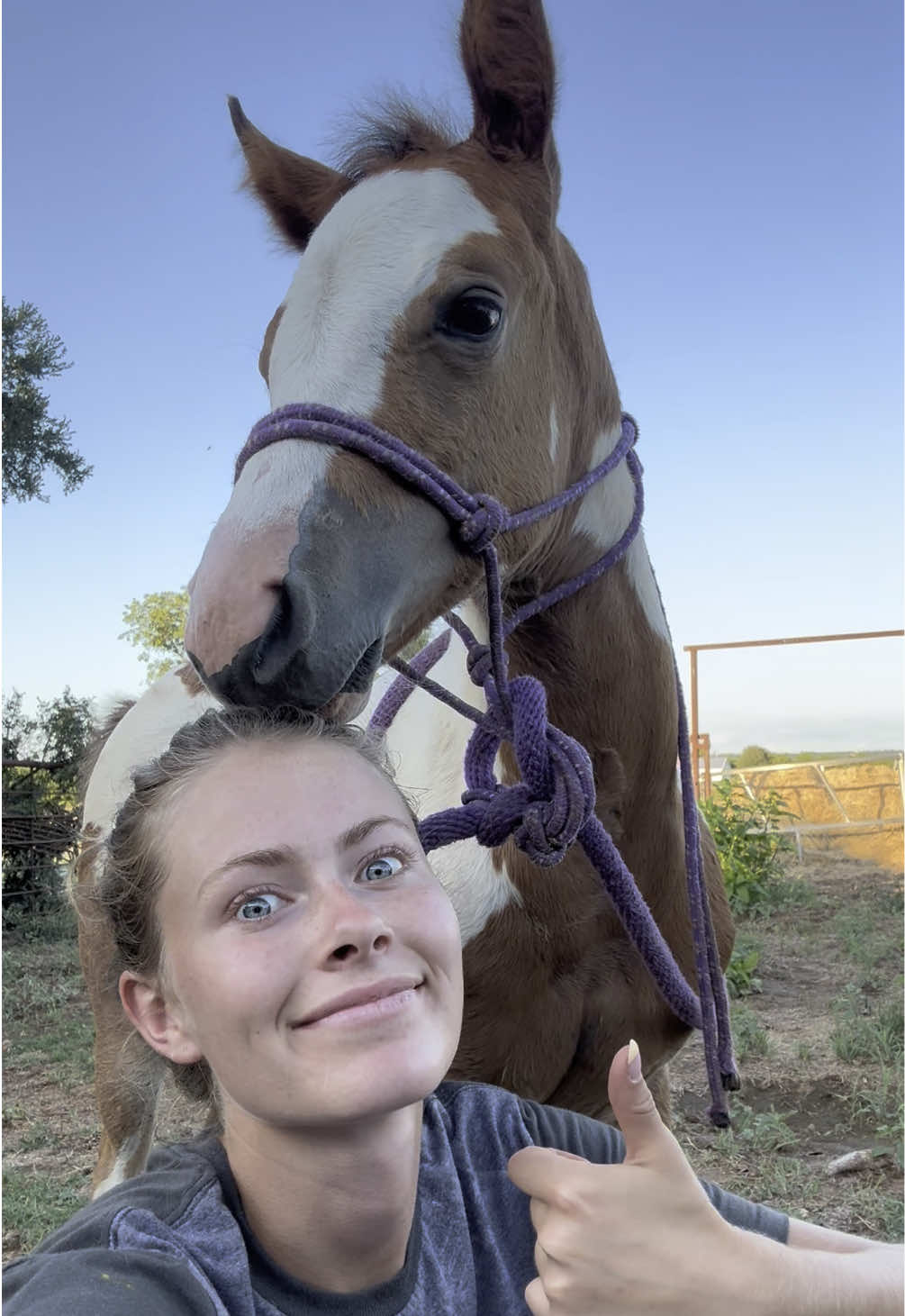 Ten times smarter and better behaved than the average horse…🙃 #begood #filly #communityservice #fyppppppppppppppppppppppp #fypシ 