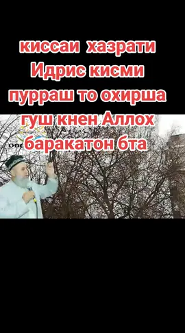 #creatorsearchinsights #топ #популярно #подписчики #подписаться #лайк #umaribnalhatob #umarbinkhattab 