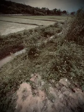 真正的爱情不是一时好感，而是我知道遇到你不容易，错过了会很可惜。 
