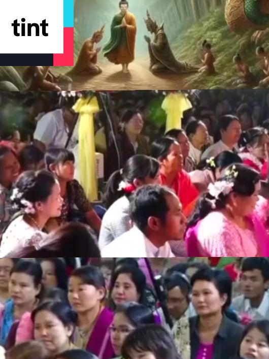 #capcut#ဦးသုမဂ်လ#ဒယ်အိုးဆရာတော်#တရာတော်များ clipvideo ..