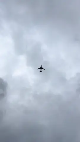 What is our purpose?