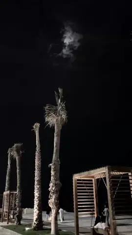 #جازا #الكورنيش #🤍 #fyp #اكسبلور 