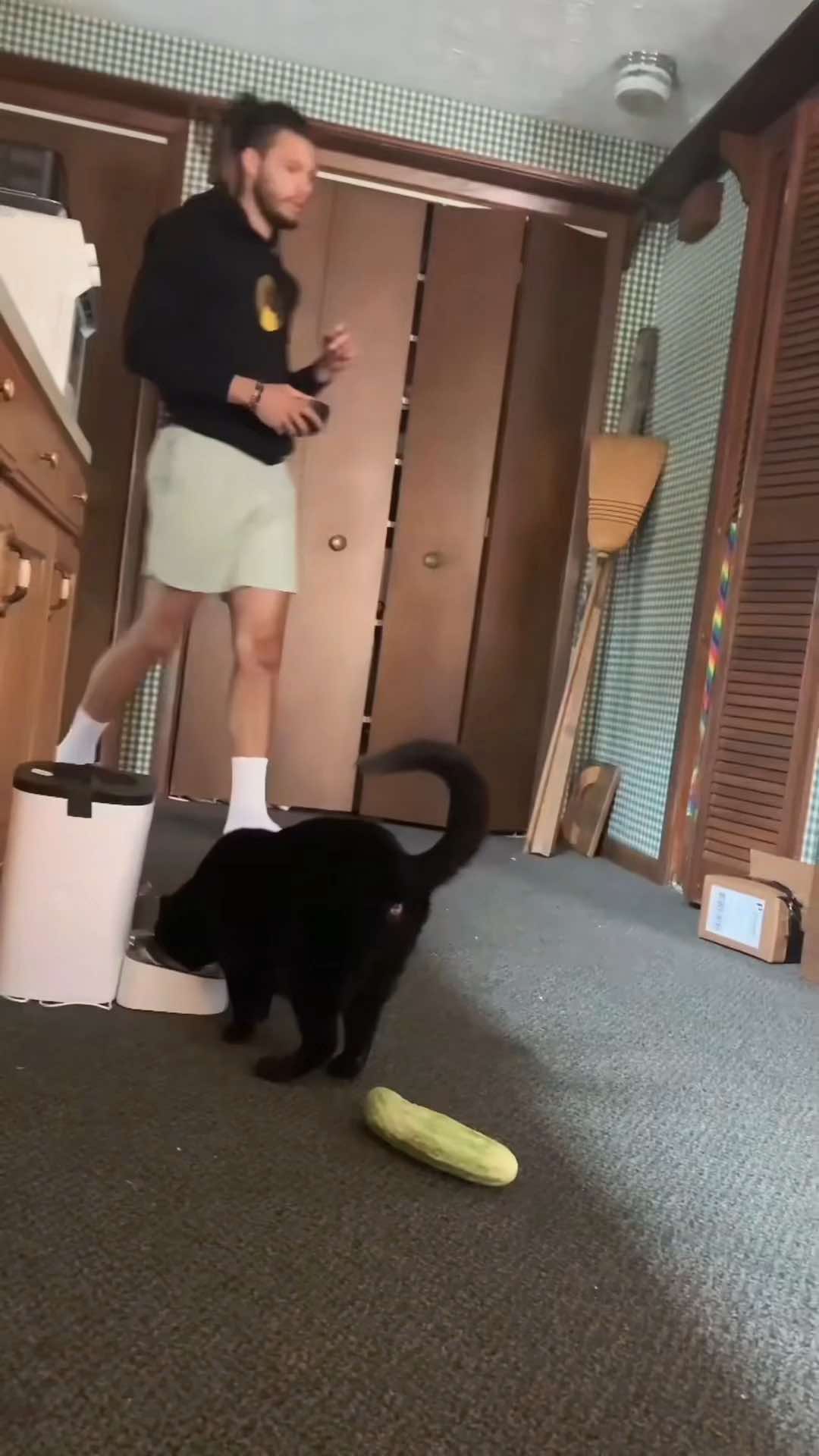 The ultimate battle between cat and cucumber#happy #cat #fyp #catsoftiktok #catlover #funnycat #funnyvideo