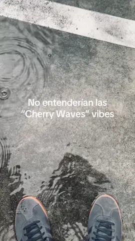 El sentimiento de Cherry Waves > #deftones #cherrywaves #numetal 