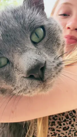 Draft from my birthday 