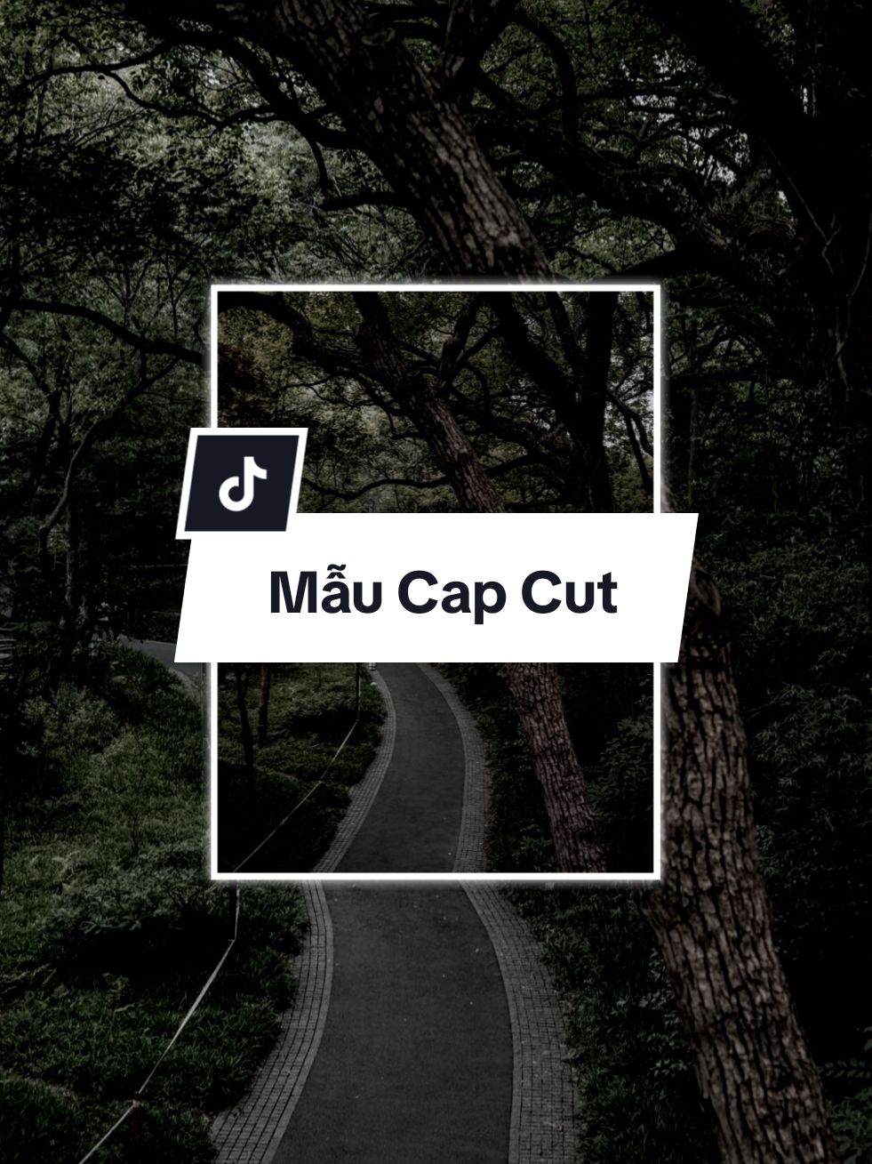 #CapCut Tình nghĩa mình đặt trên đầu..🗿#xuhuong #dinhkhanhmusic #dinhkhanhcapcut #nhachaymoingay 