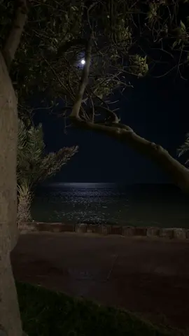 جمال القمر وهو يسكب ضياءه على البحر .