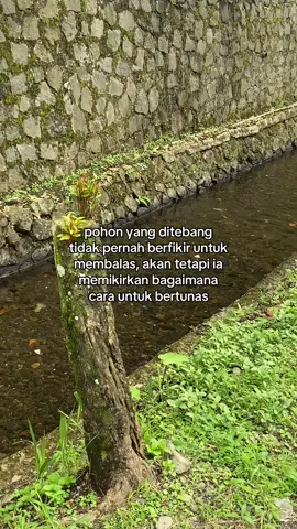 #galaubrutal 