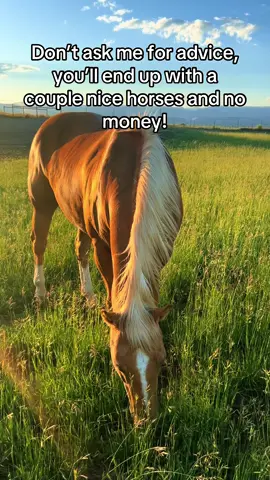 You could have worse problems! #cowgirl #cowboy #horse #advice #equine #money 