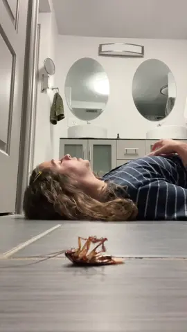 I just wanna tell someone about the book I’m reading #BookTok #yunggravy #cockroach #bookthoughts 