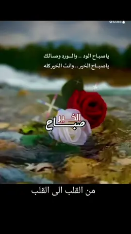 #في هذا اليوم #من_القلب_إلى_القلب❤ 