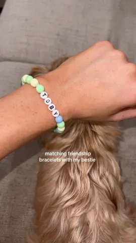 soooo freaking cute 😭 @Furiend #fyp #dogs #furiend #dogsoftiktok #friendshipbracelets #dogmom #foryourpage 