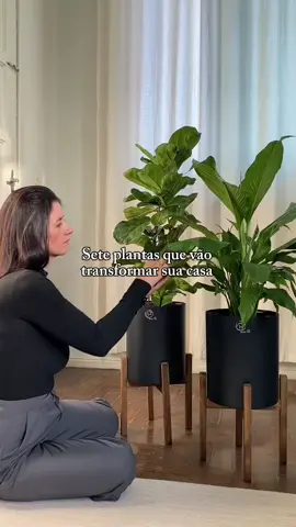 Sete plantas perfeitas para dentro de casa! 💚🌱 #plantas #planta #plantasdeinterior 