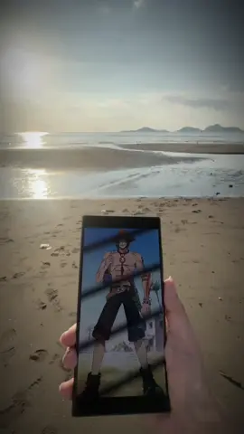 would you like to go with me? #CapCut #ace #onepiece #acecosplay #aceonepiece #cosplayer 