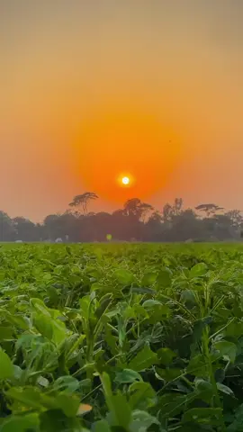 শান্তির চেয়ে বড় কিছু নেই, তাই যা কাঁদায়, তা ফেলে দিতে হয় ⋆࿐🥲💔 #প্রকৃতি #sky #tree #fyp #fypシ #fypシ゚viralシ #unfrezzmyaccount #tiktok #shorts #song #weather #views #reels #nature #natural #scenery #foryou #trending #viral #sad #viralvideo #sunset #village #NaYaN #NaYaN56 @TikTok @tiktok creators @TikTok Bangladesh 
