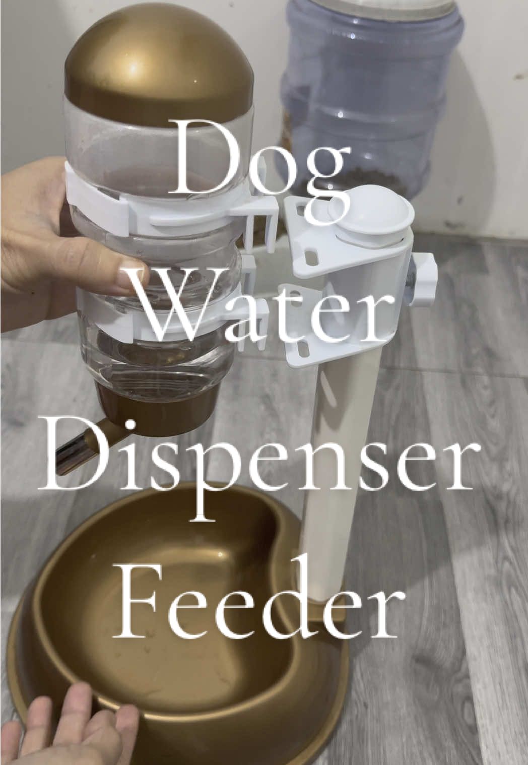 #creatorsearchinsights for your #dogs #dog #dogsoftiktok #shihtzu #shihtzupuppy #shihtzusoftiktok #dogfeeder #dogwaterfeederbowl #dogwaterdispenser #automaticwaterfeeder #dogwaterbottle #dogwaterbowl #petwaterdispenser 