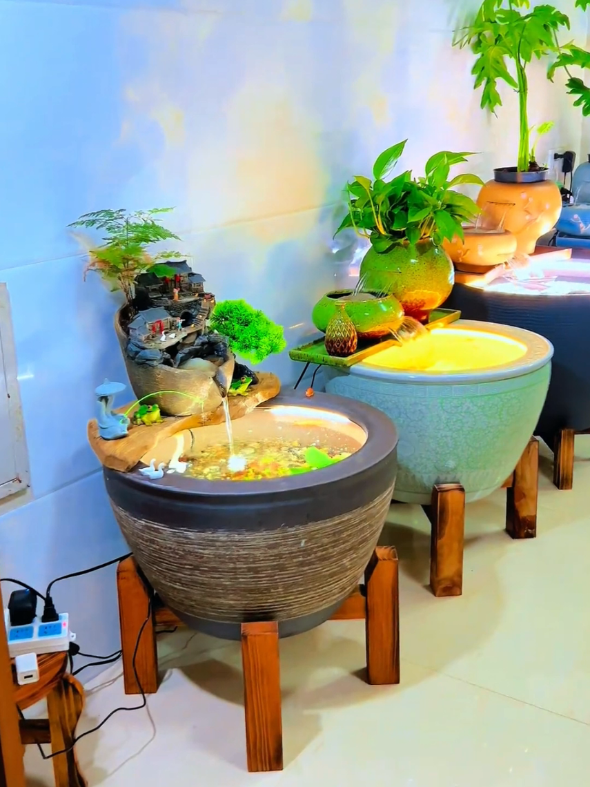 Chậu nuôi cá trong nhà đơn giản mà đẹp #nuoica #thuysinh #thugian 