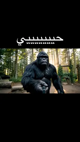 تم#تجهيز#القارب#الى#قرد#الطائف #🫡🦍