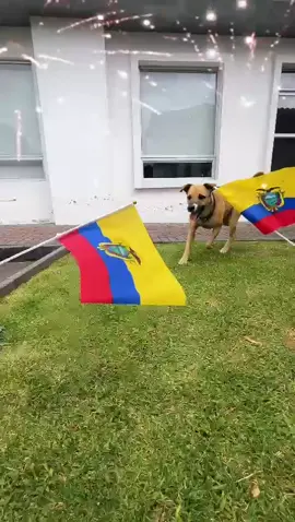 🏆🎉 ¡Estamos en el mundial y Nacho lo sabe! 🎉🏆 Nuestro Nacho está de fiesta 🎊. ¿Y tú, cómo festejas?