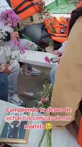 mamita haces mucha falta 15 meses sin ti 🥹