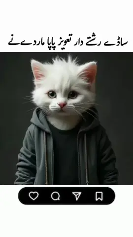 Funny 🐈 Video Rishtydar #FunnyVideos #Comedy #LOL #MemeTok #FYP #Trending #ComedySkits #Comedy Skits #foryou #Funny #Trending Now #Funny #ComedyGold #ViralVideosFunnyVideos #Comedy #LOL #MemeTok #FYP#funnybaba89 