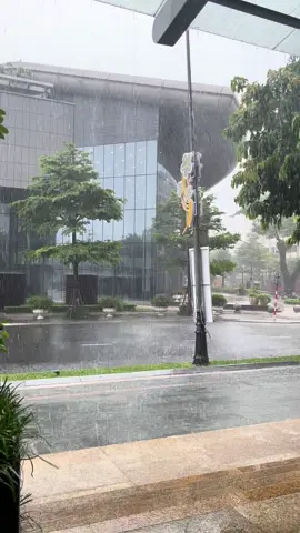 Đà Nẵng một ngày mưa 🌧️  #thoitietdanang #thoitiethomnay 