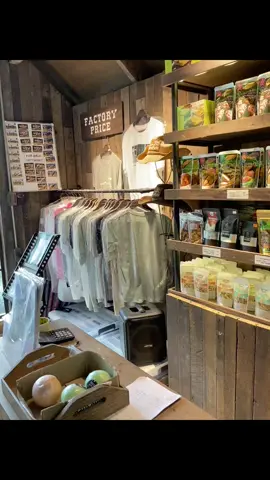 🖇️Just taking it easy, enjoying a pasyal✨🌴 #101#fyppppppppppppppppppppppp 