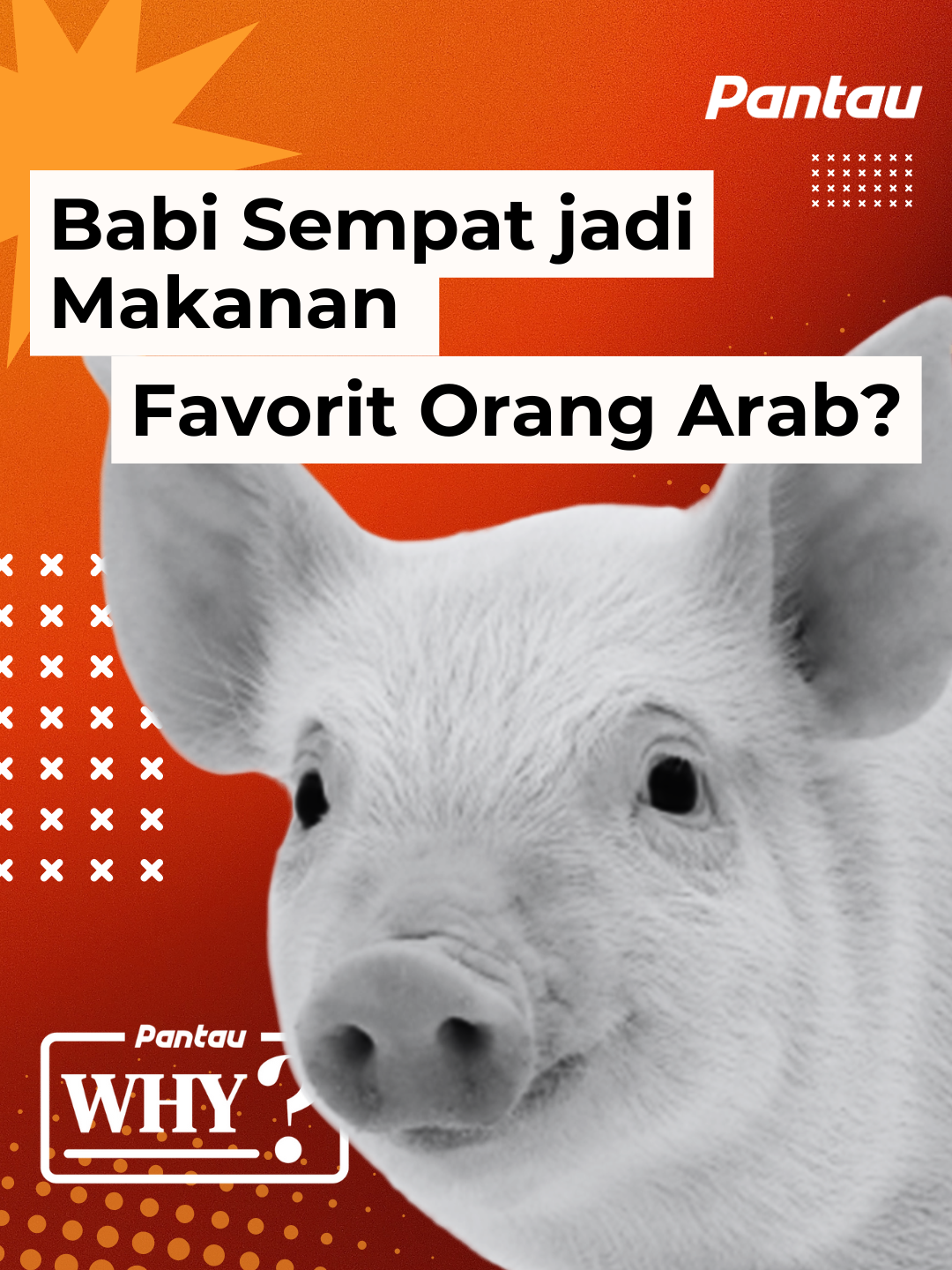 Babi sempat jadi makanan favorit orang Arab? Dulu, orang Timur Tengah makan daging babi Bahkan jadi makanan utama sebelum dilarang. #FaktaSejarah #Babi #TimurTengah #FaktaUnik #KontenSejarah #Arab #FYP