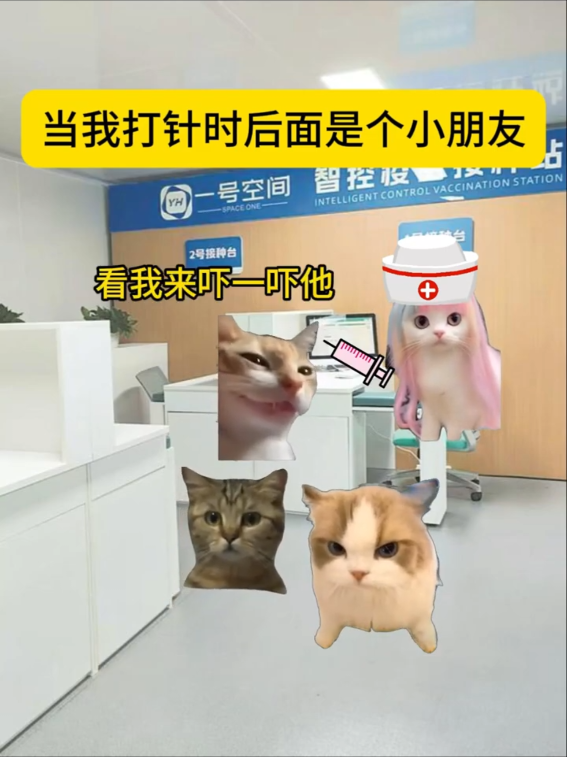 #猫咪 #2025 #猫meme #cat #猫meme小剧场 