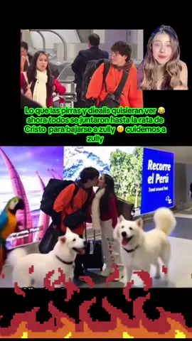 #zully🐱 #zully #gatchurras😺💘 #teampirras🐩💗 #diealis #rataclips #neutro #alejus @Milenka_nolasco🐩💗 @zullyy🐱 @GATZU🐱 @Zullyclipsperu😸 @zullycientaclips @Diealis 🦊💚 @Alejus💋🍒 @Sandra Skins @GlogloKing 