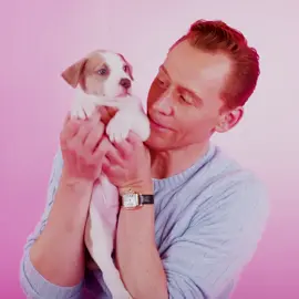 bobby is one lucky dog #tomhiddlestonedit #thelifeofchuck #lokilaufeyson #lokiedit 