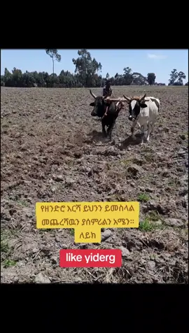 #መስፍ 