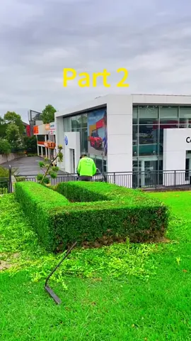 My family told me the trip was too crowded already, but I noticed $3,700 disappear from my account—matching luggage sets, hotel rooms, and amusement park passes. I didn't confront them. I filed disputes, froze the account, and revoked the travel insurance policy. At the gate, they were denied boarding. My brother texted, 