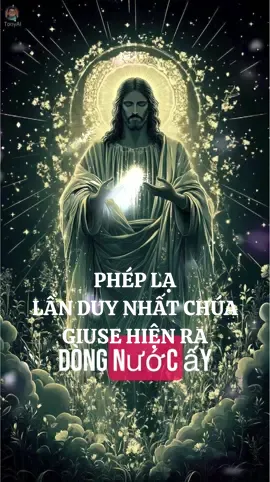 Phép lạ! Lần duy nhất chúa Giuse hiện ra#giesu #chuagiesu #xuhuong #xuhuongtiktok #thinhhanh #thinhhanhtiktok #fyp #foryou #foryoupage 